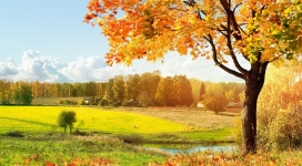 丰富多彩的秋季树木景色