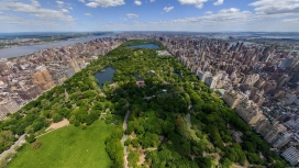 约纽新中央公园航拍的绿色公园美景