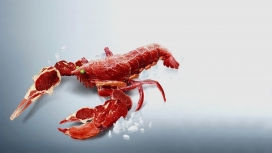 螃蟹肉-美食牛肉拼图龙虾