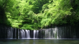 热带雨林小瀑布