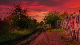 红色的天空树路