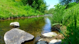 小溪流