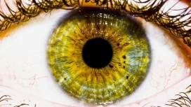 绿色的眼睛写真