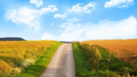 美丽的自然生态之路