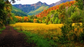 普罗沃峡谷秋天的颜色