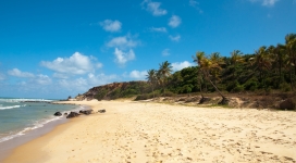 棕榈树热带海滩风景
