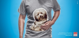 宠物健康专家-宠物健康协会平面广告