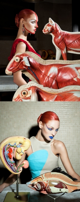 Under My Skin-肌肉器官美女