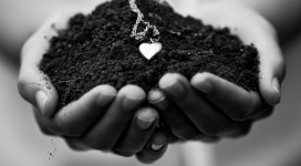 爱地球-手捧矿物质