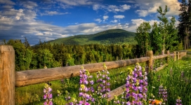 木栅栏花园壁纸