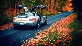 秋叶满地公路旁的奔驰SLS AMG汽车