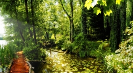 自然公园美景壁纸