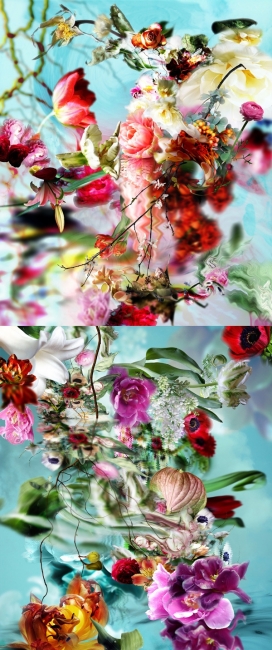 花卉插画摄影图