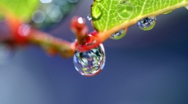 晶莹剔透的水滴