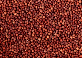 高清晰颗粒状香料食材壁纸