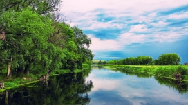 美丽的绿色夏天河