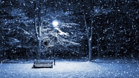 冬季夜晚的公园长椅