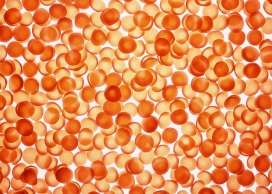 高清晰面食类面片食材写真