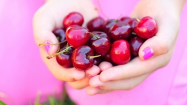 手捧新鲜小樱桃水果壁纸