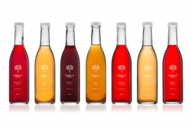 Ethical Soda五彩汽水包装