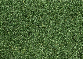 高清晰细小茶叶壁纸