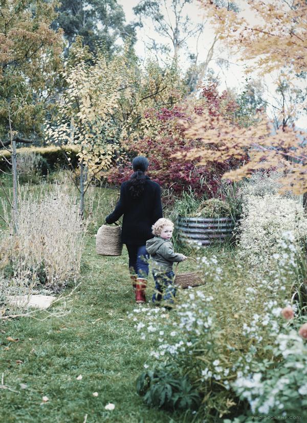 The Agrarian Kitchen-农家厨房记录图---酷图编号8