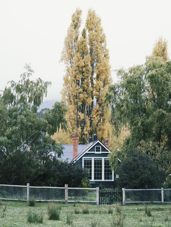 The Agrarian Kitchen-农家厨房记录图---酷图编号4