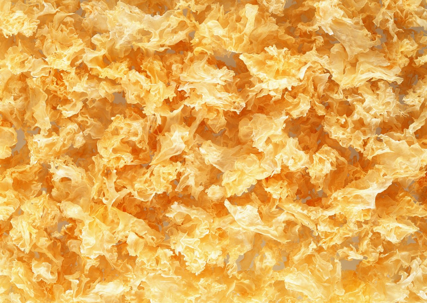 金黄色白木耳食材写真壁纸图片