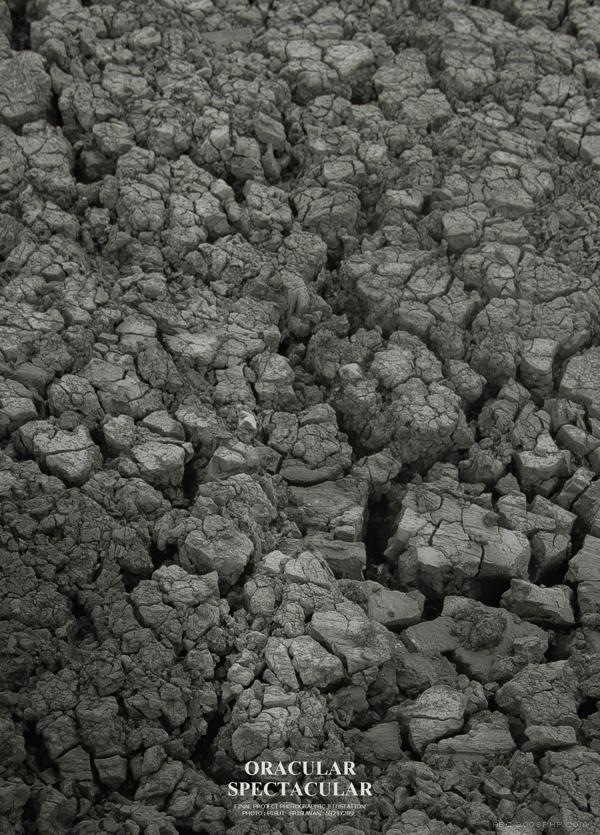 玄妙壮观-特别感谢BENZE香格里拉歌剧女主角的蟒蛇---酷图编号10