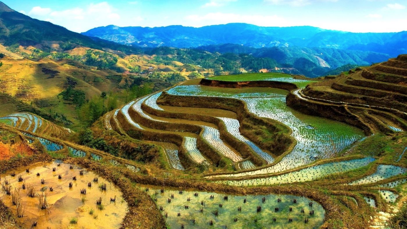 优美的梯田图片