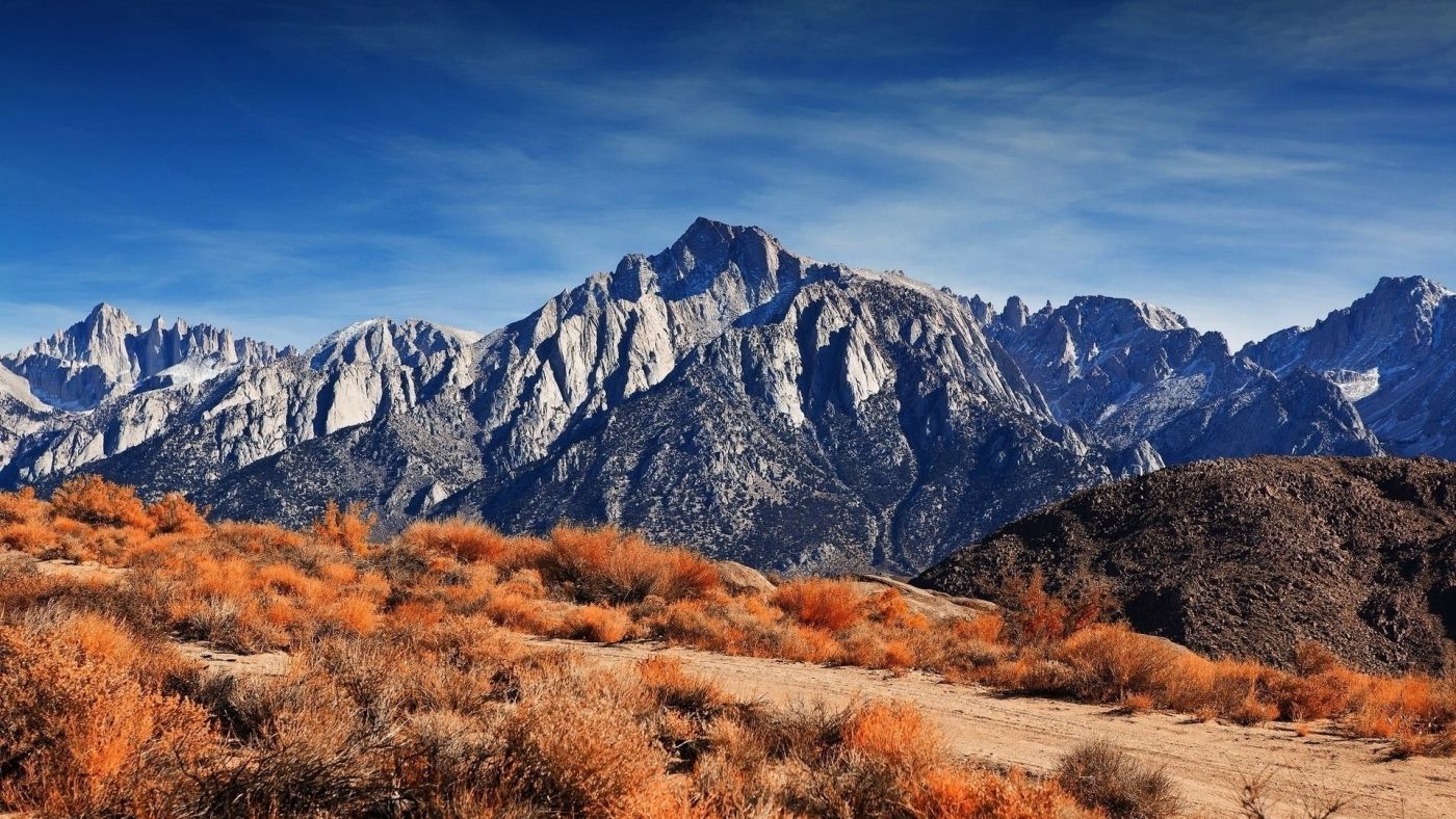 雪高山灌木草壁纸图片