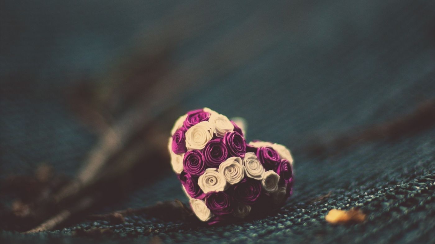 玫瑰爱心花图片