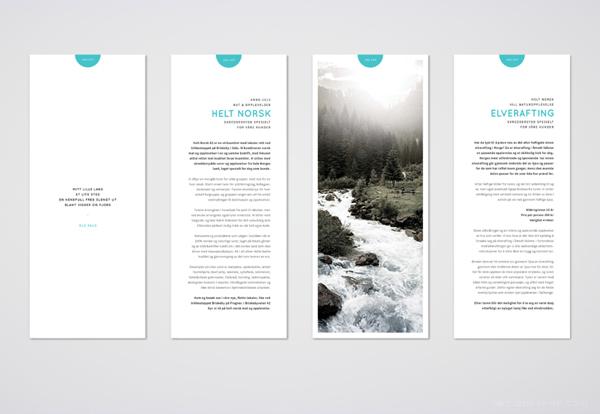 挪威传统食物商店-HELT NORSK品牌标识设计---酷图编号1087298