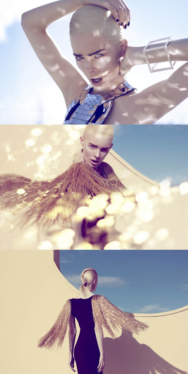 Everything is Illuminated-一切都发光图片