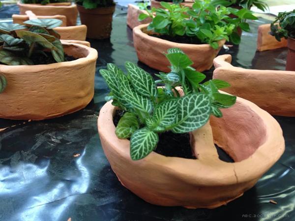 盆景字母设计-手工使用“原始橙”陶土和小植物制成---酷图编号1089394