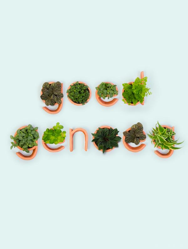 盆景字母设计-手工使用“原始橙”陶土和小植物制成---酷图编号1089397