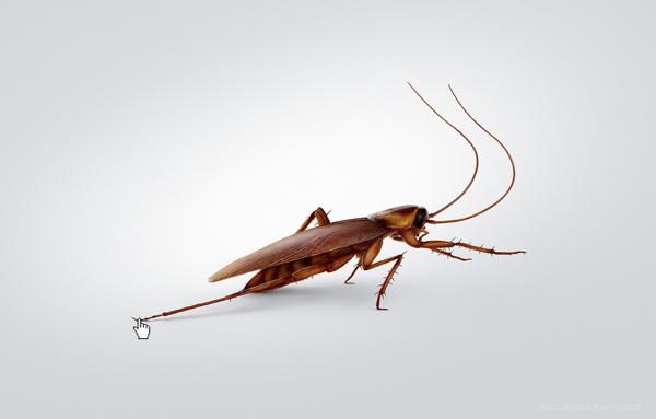 Boecker-病虫害插画-里面有蚂蚁-老鼠-蟑螂插画---酷图编号8