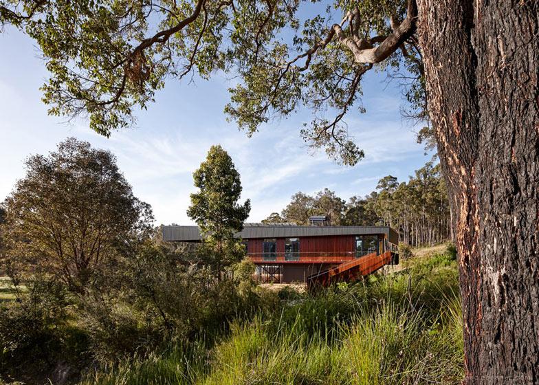 澳大利亚丛林曲折度假屋-看上去是从地面上升起的建筑,以尽量减少其对原生景观和野生动物的影响---酷图编号1090384