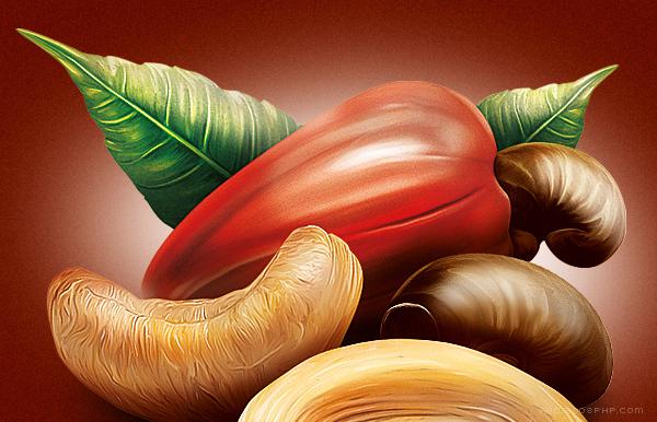 Nuts坚果类插画设计---酷图编号3