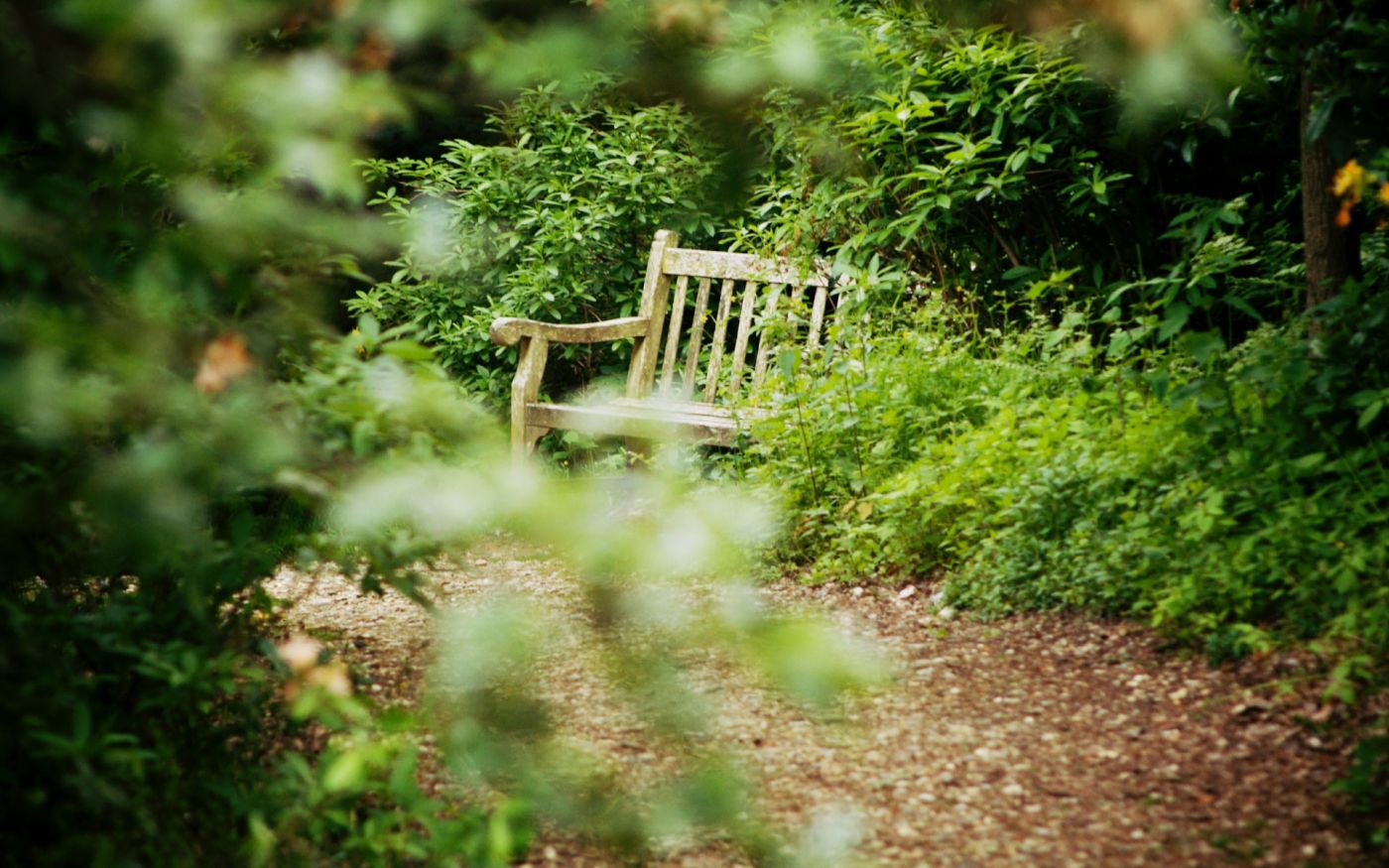 在杜乐丽花园的绿椅子上感受秋日 周围的一切都美到不真实。