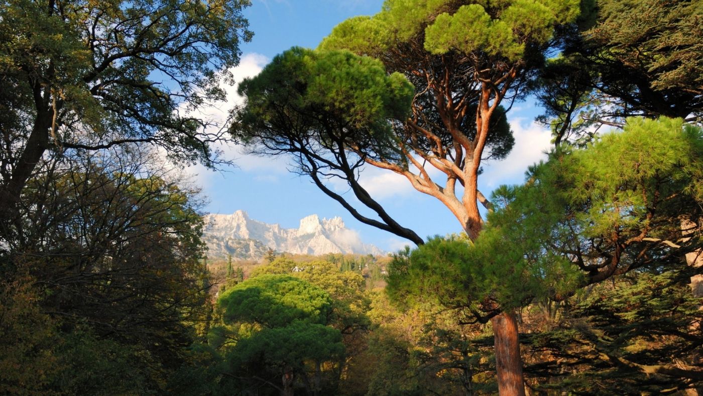 乌克兰克里米亚森林公园壁纸图片