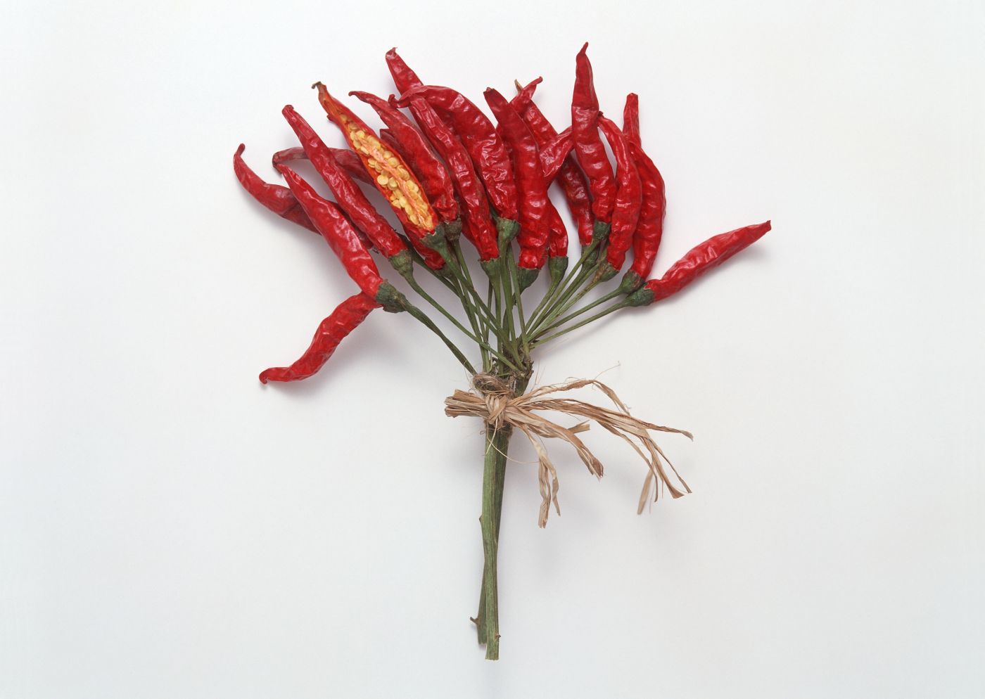 干红辣椒花图片