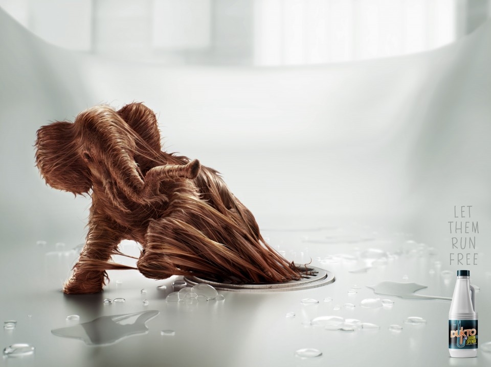 让他们自由奔跑-dukto平面广告-欧莱凯设计网(2008php.com)