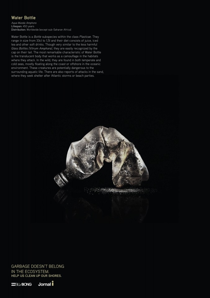 垃圾不属于生态系统-请帮助我们清理我们的海岸-海洋环境保护公益平面广告图片