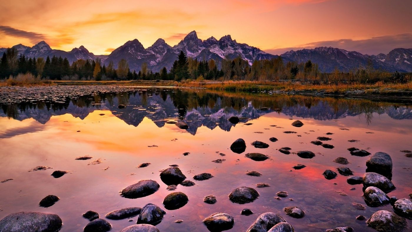 山森林沼泽石头壁纸图片