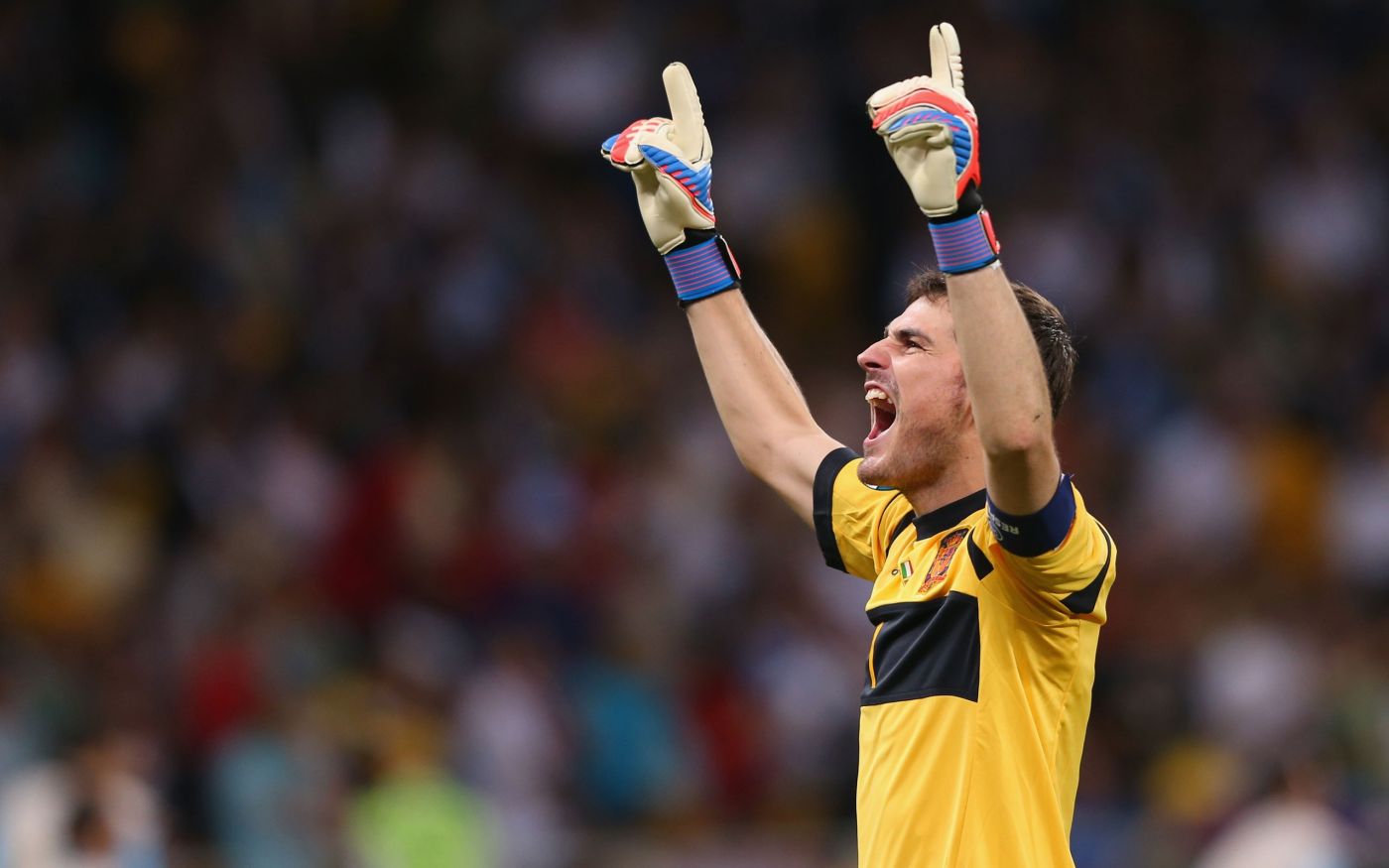 胜利的呼喊-2014巴西世界杯壁纸图片