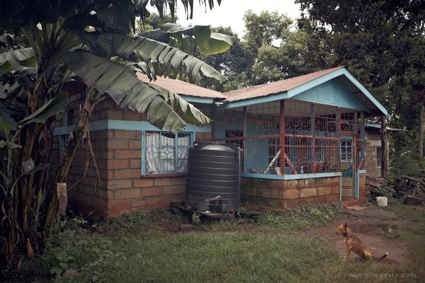 肯尼亚茶农人物肖像---酷图编号16