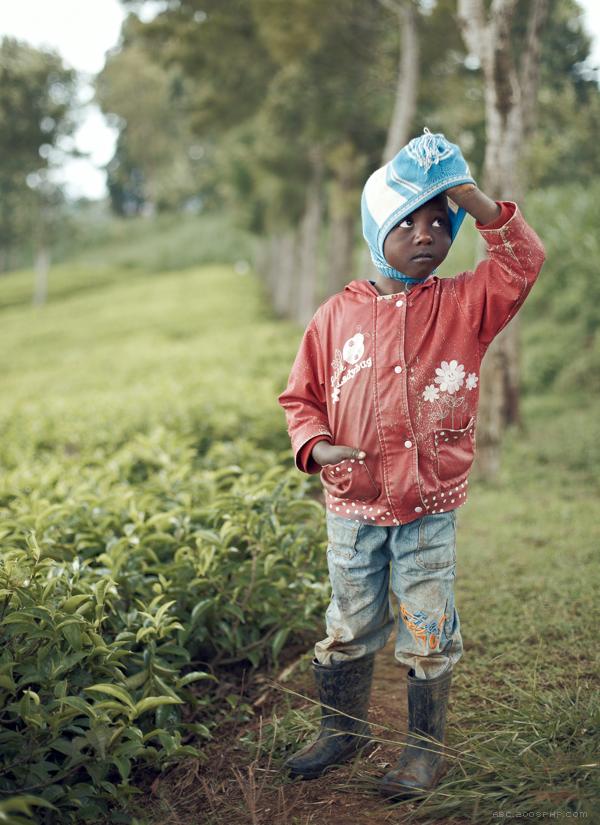 肯尼亚茶农人物肖像---酷图编号5