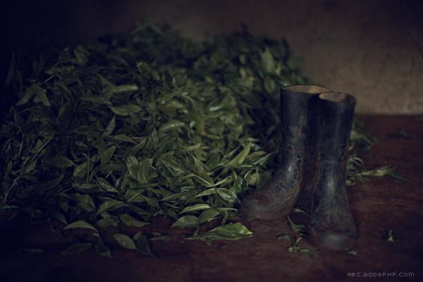 肯尼亚茶农人物肖像---酷图编号4