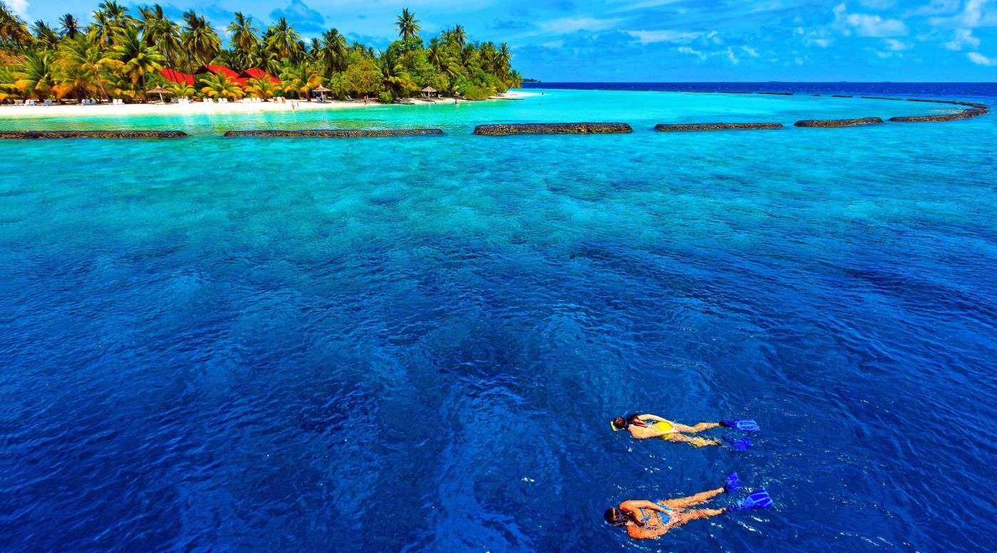 蓝海游泳的“美人鱼”图片